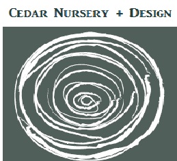 Cedar Nursery